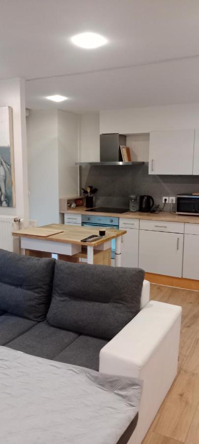 Tres Bel Appartement Rez De Jardin Appart De 53M2. Pfastatt Экстерьер фото